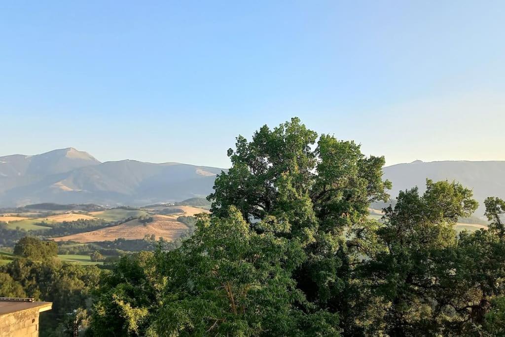 Pigno, Appartamento In Campagna Cagli Luaran gambar